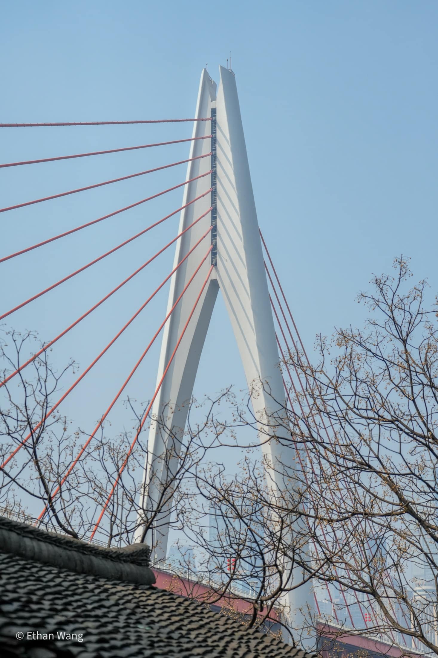 Chongqing photograph sixteen